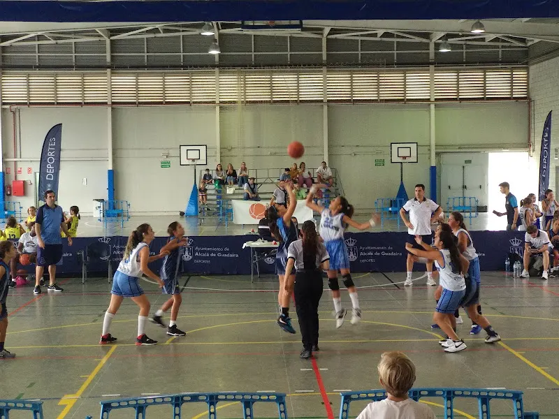 Complejo Deportivo Distrito Sur - Polideportivo en Alcalá de Guadaíra - foto 2