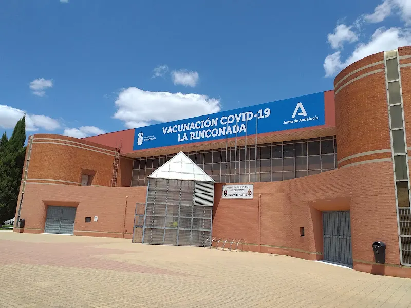 Pabellón Municipal Fernando Martín - Polideportivo en Rinconada (La) - foto 2