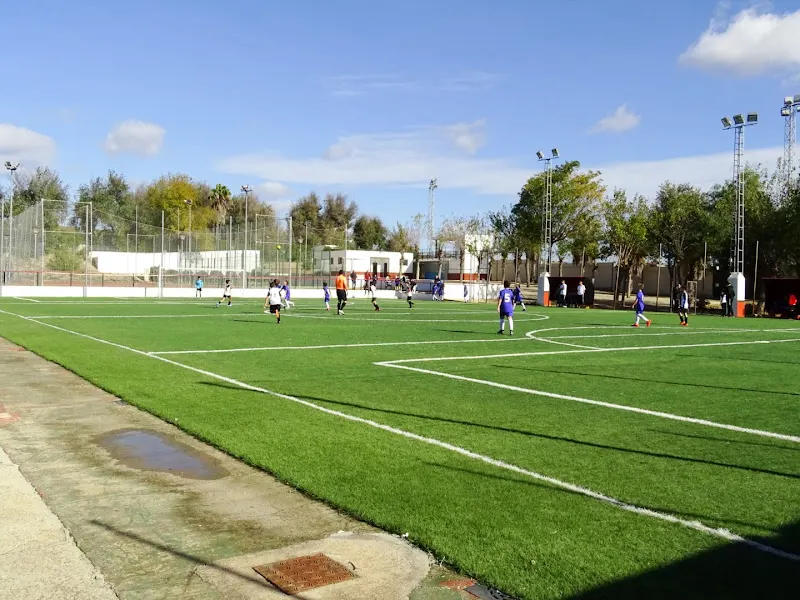 Polideportivo Municipal Ceferino Gil Arenas - Polideportivo en Carrion de los Cespedes - foto 2