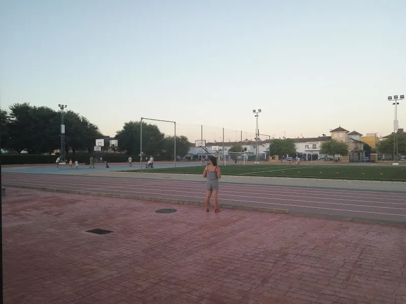 Polideportivo Municipal - Mairena del Alcor
