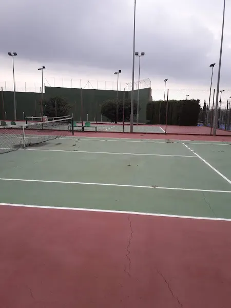 Sénia Tennis Club - Club de tenis en Senia (La) - foto 2