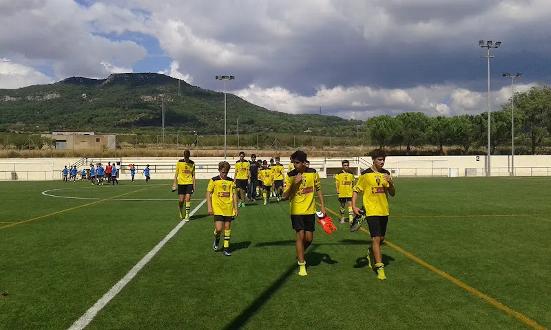 Pabellón Polideportivo - Polideportivo en Pla de Santa Maria (El) - foto 2