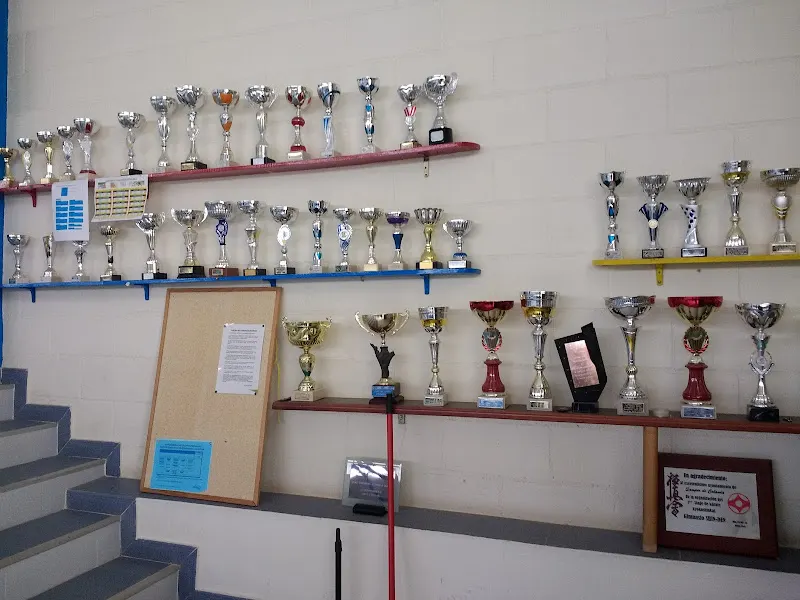 Pabellón Polideportivo Municipal de Samper de Calanda. - Samper de Calanda