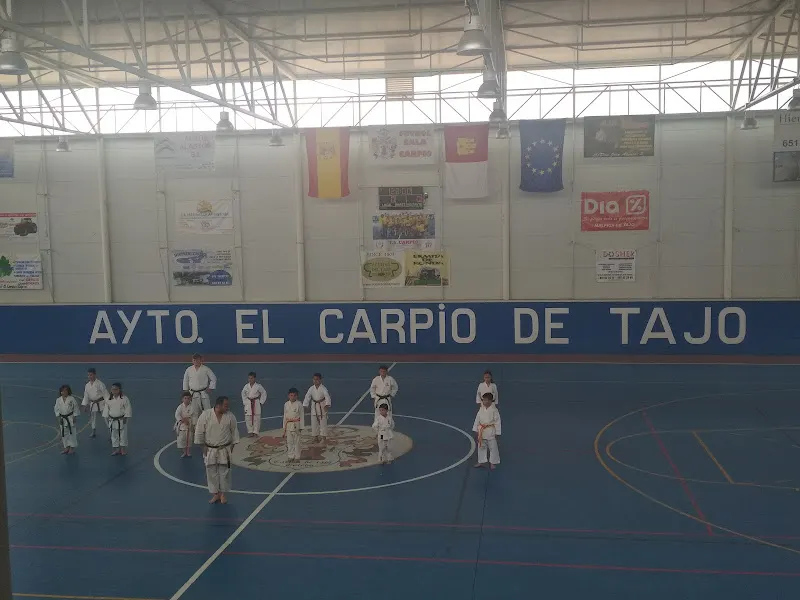 PABELLÓN POLIDEPORTIVO MUNICIPAL de El Carpio de Tajo. en Carpio de Tajo (El)