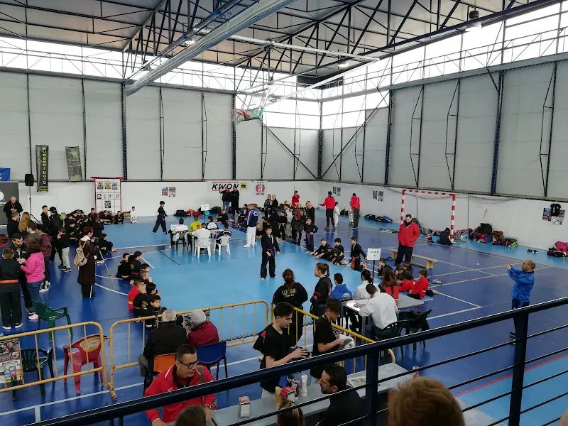 Pabellón Polideportivo Municipal de Carranque. - Polideportivo en Carranque - foto 2