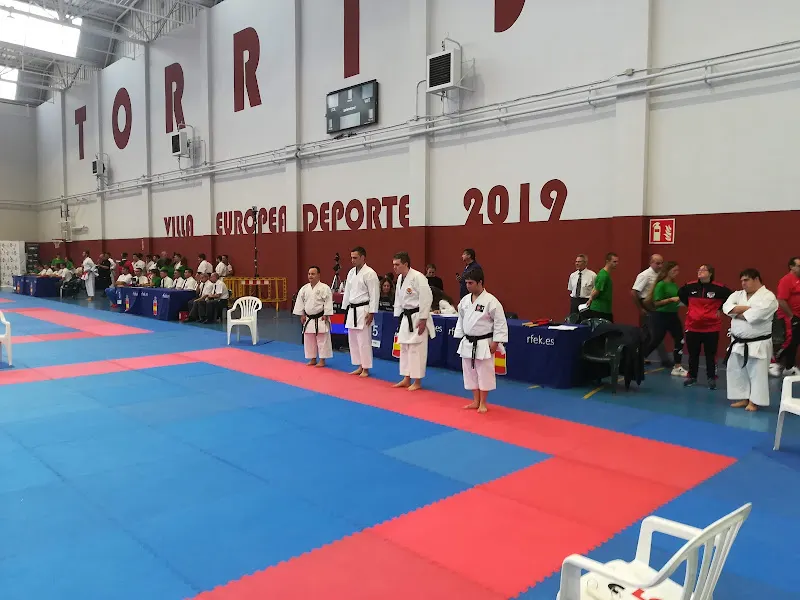 Polideportivo Municipal Torrijos - Polideportivo en Torrijos - foto 2