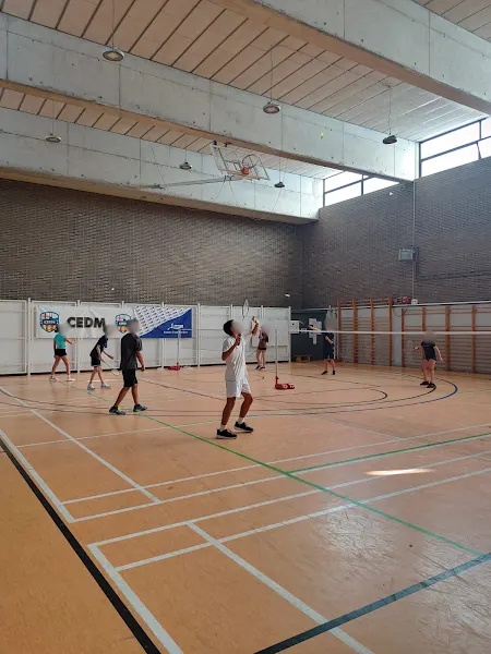 Club Bàdminton Barcelona - Club deportivo en Barcelona - foto 2