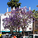 Sport 92 - Salobreña 1 AF1QipPdWpB3b qnfjDaN4lC4M47DN1fNACKsPLd0X6w580 h500 k no